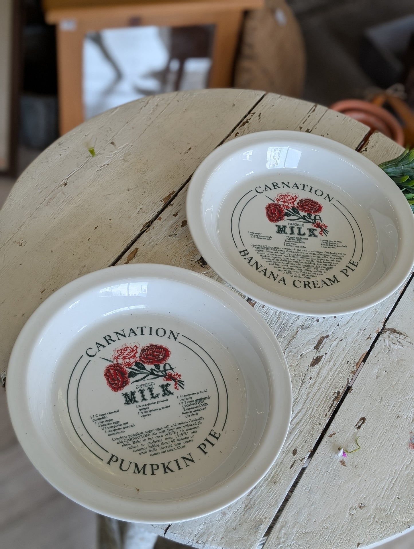 Set of Carnation Pie Plates