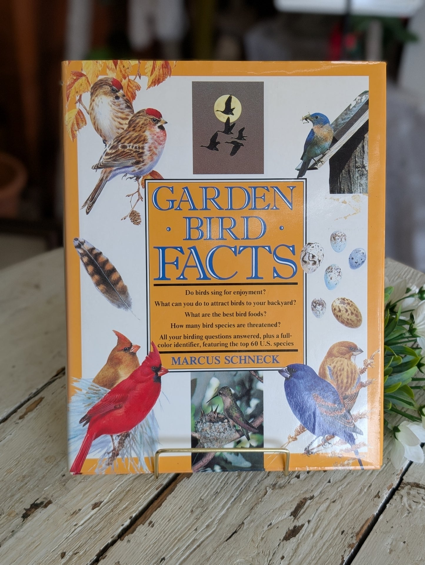 Garden Bird Facts