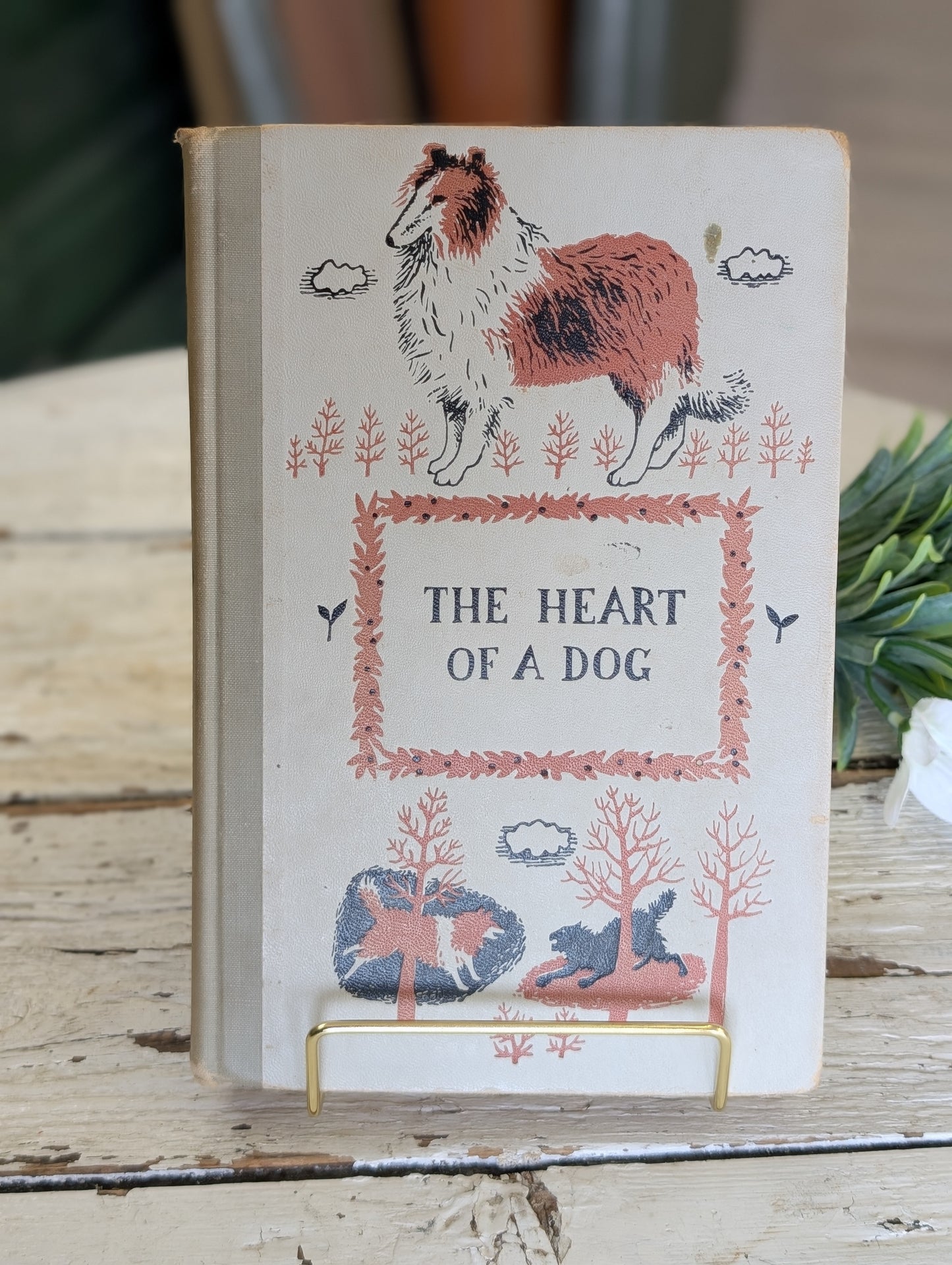 Children's Book