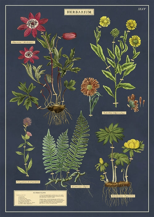 Vintage Herbarium Wrap