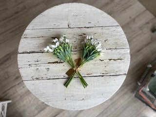 Balloon Flower Bundle