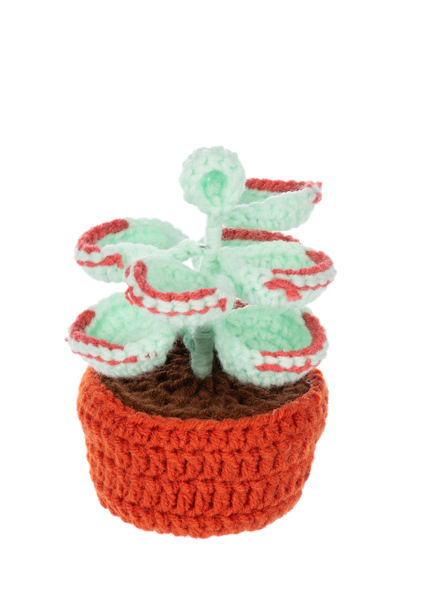 Crochet Succulent Plant Figurine