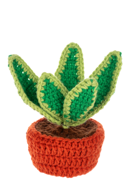 Crochet Succulent Plant Figurine