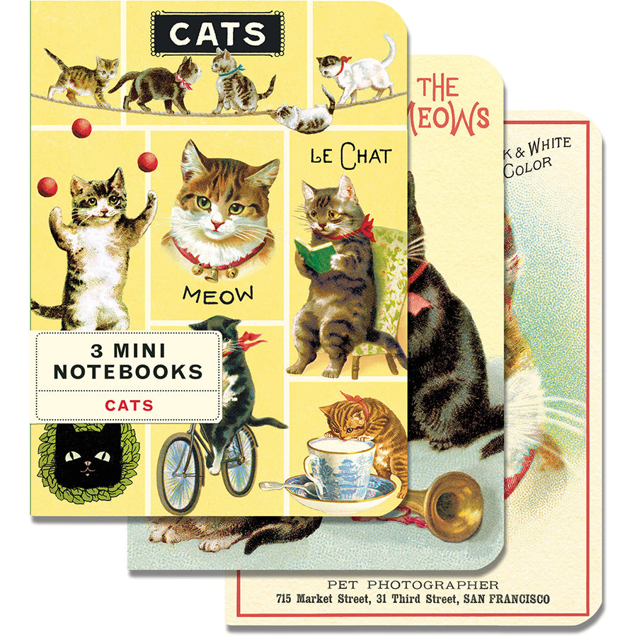 Cats Watching 3 Mini Notebook