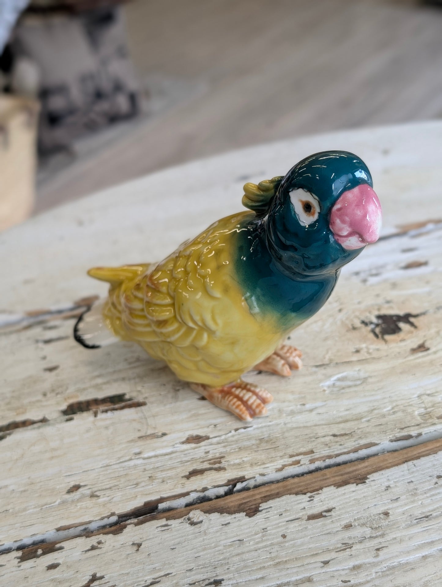 Parrot