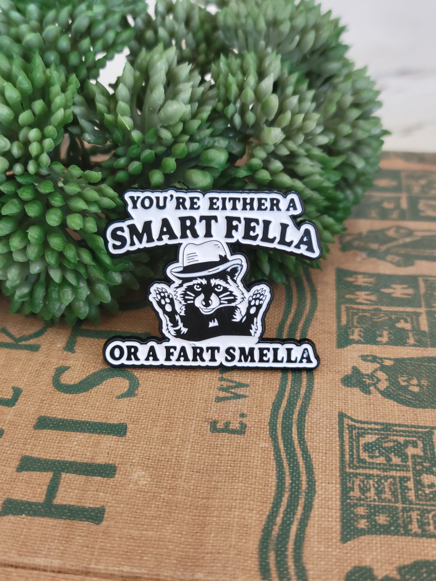 Smart fella Pin