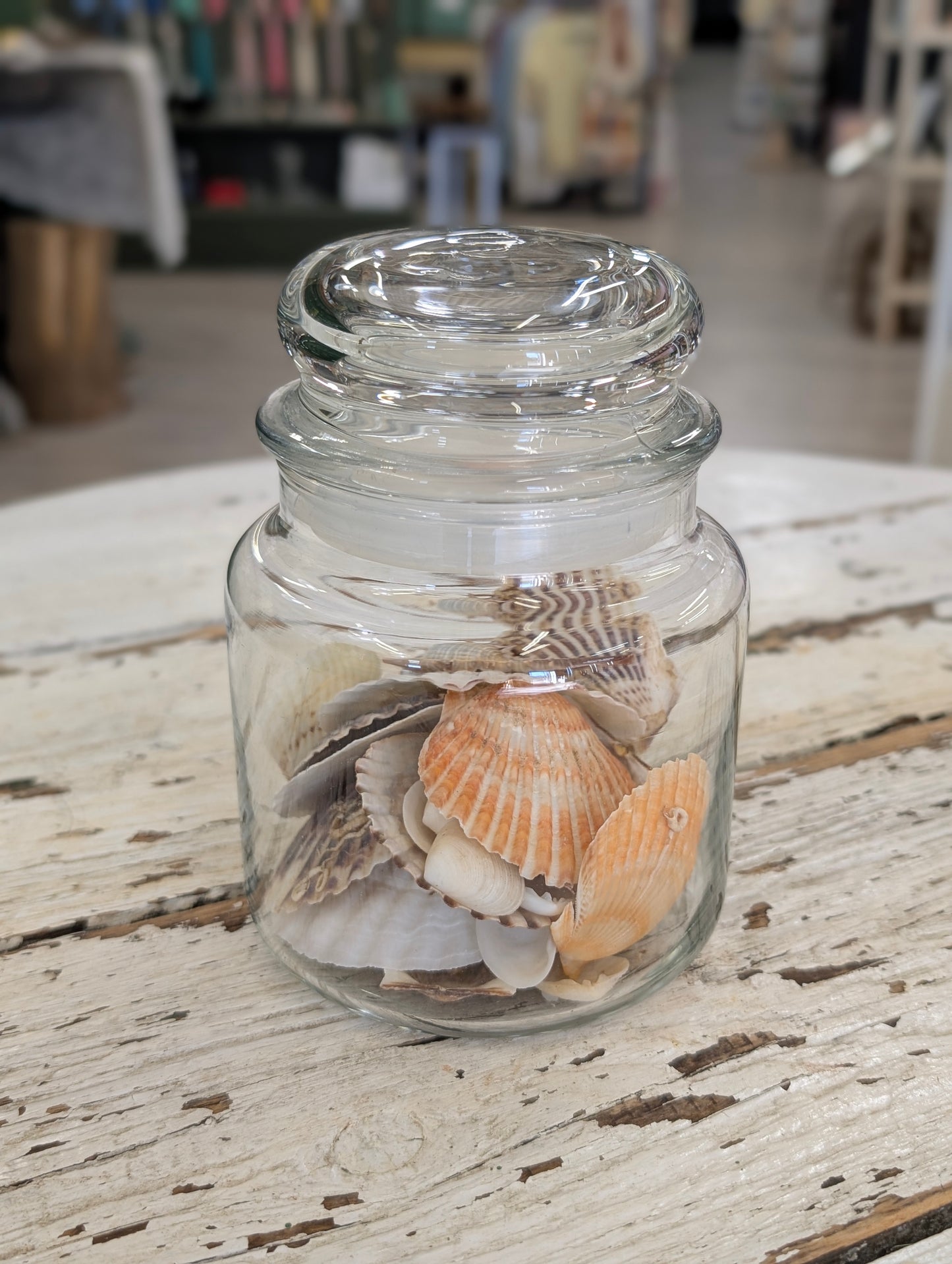 Jar with shell's