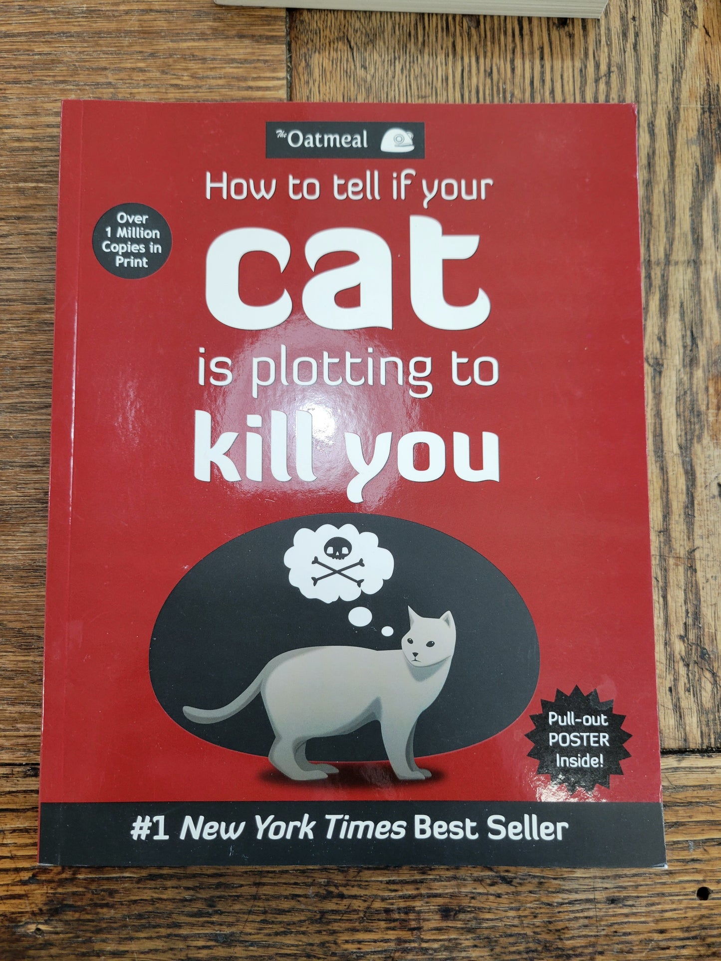 How To Tell If Your Cat Is Plotting To Kill You