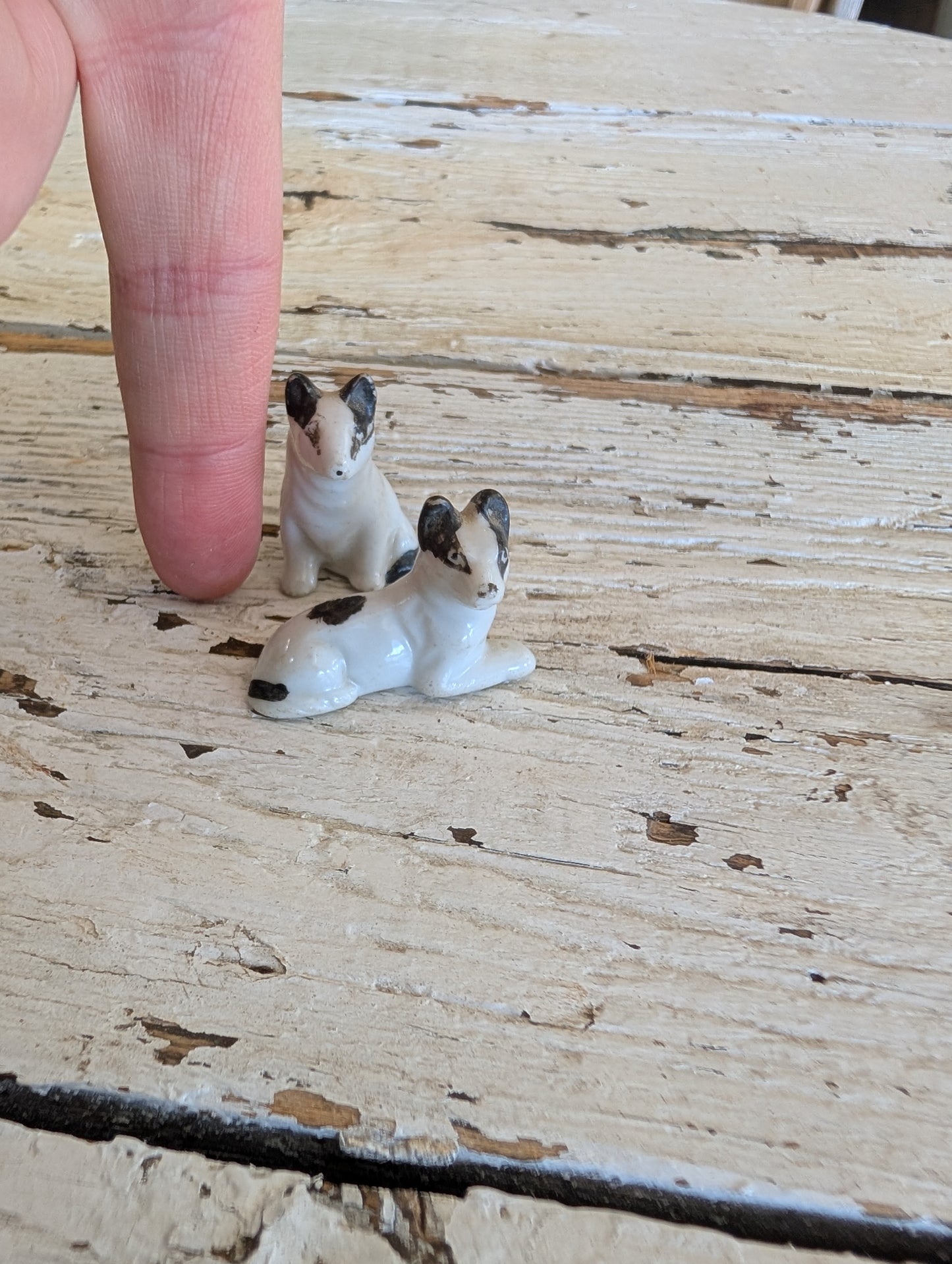 Mini porcelain dog set