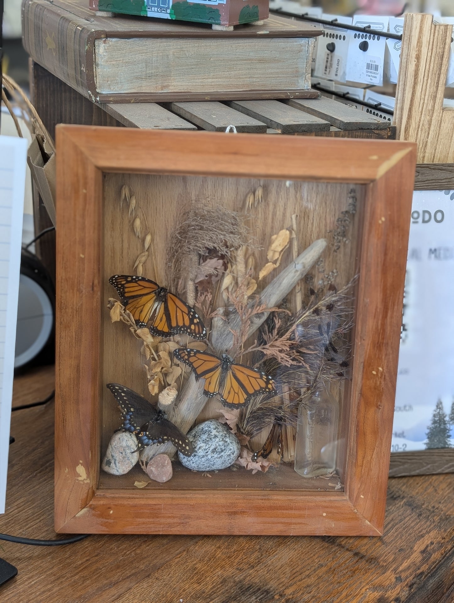 Butterfly box art