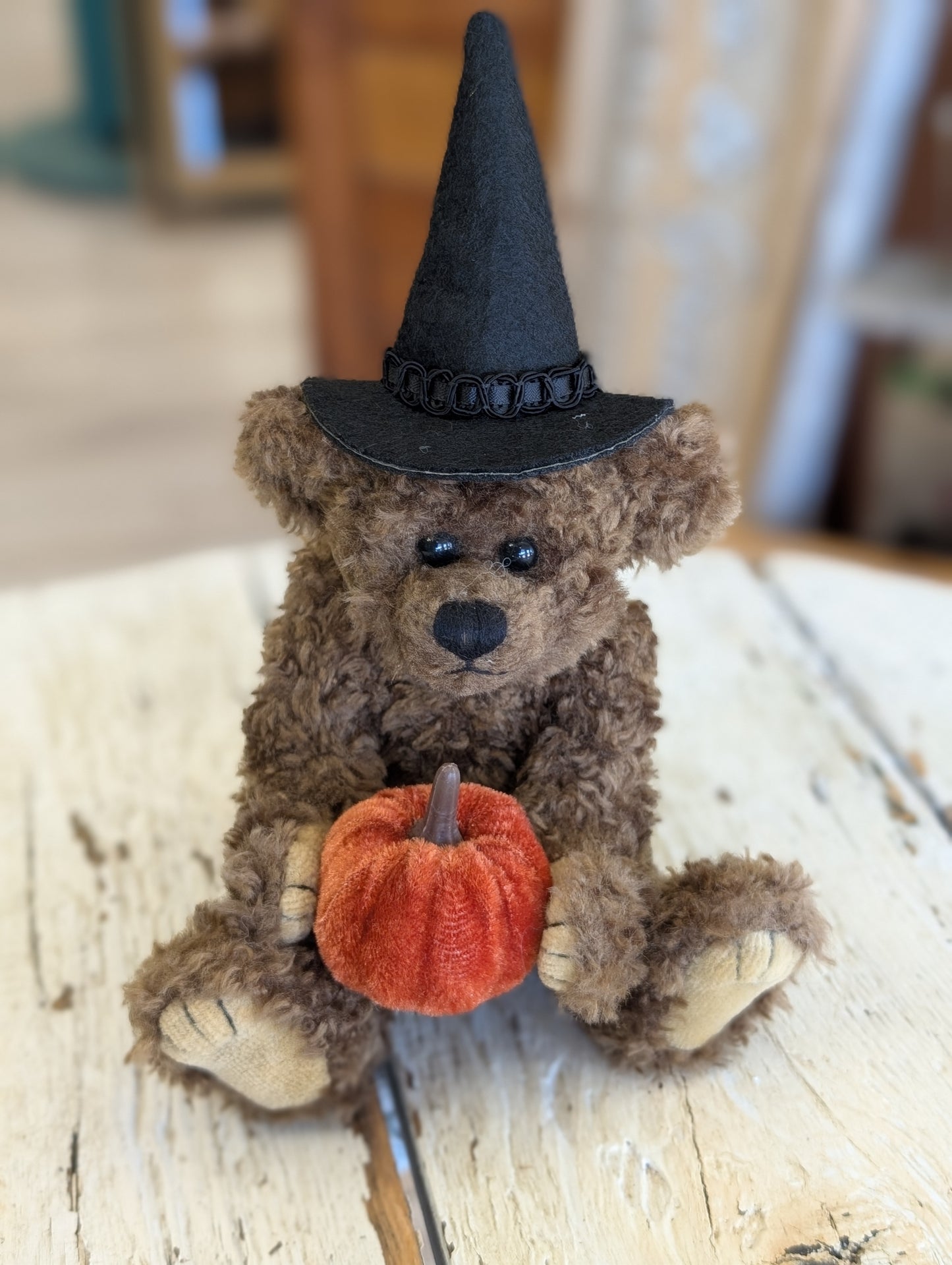 Witch Teddy