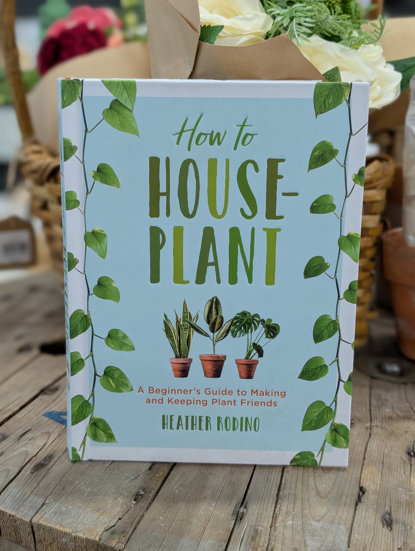 How to Houseplant