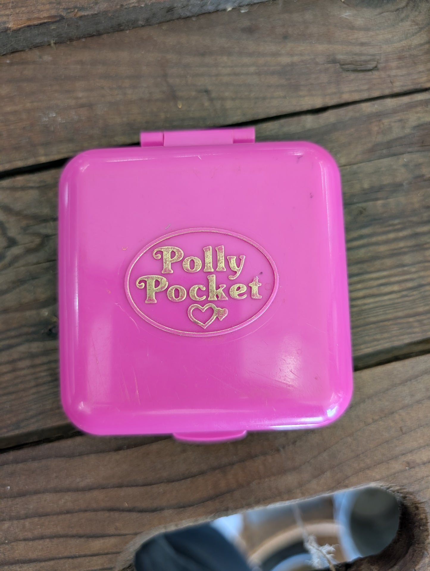 Wild Zoo World Polly Pocket