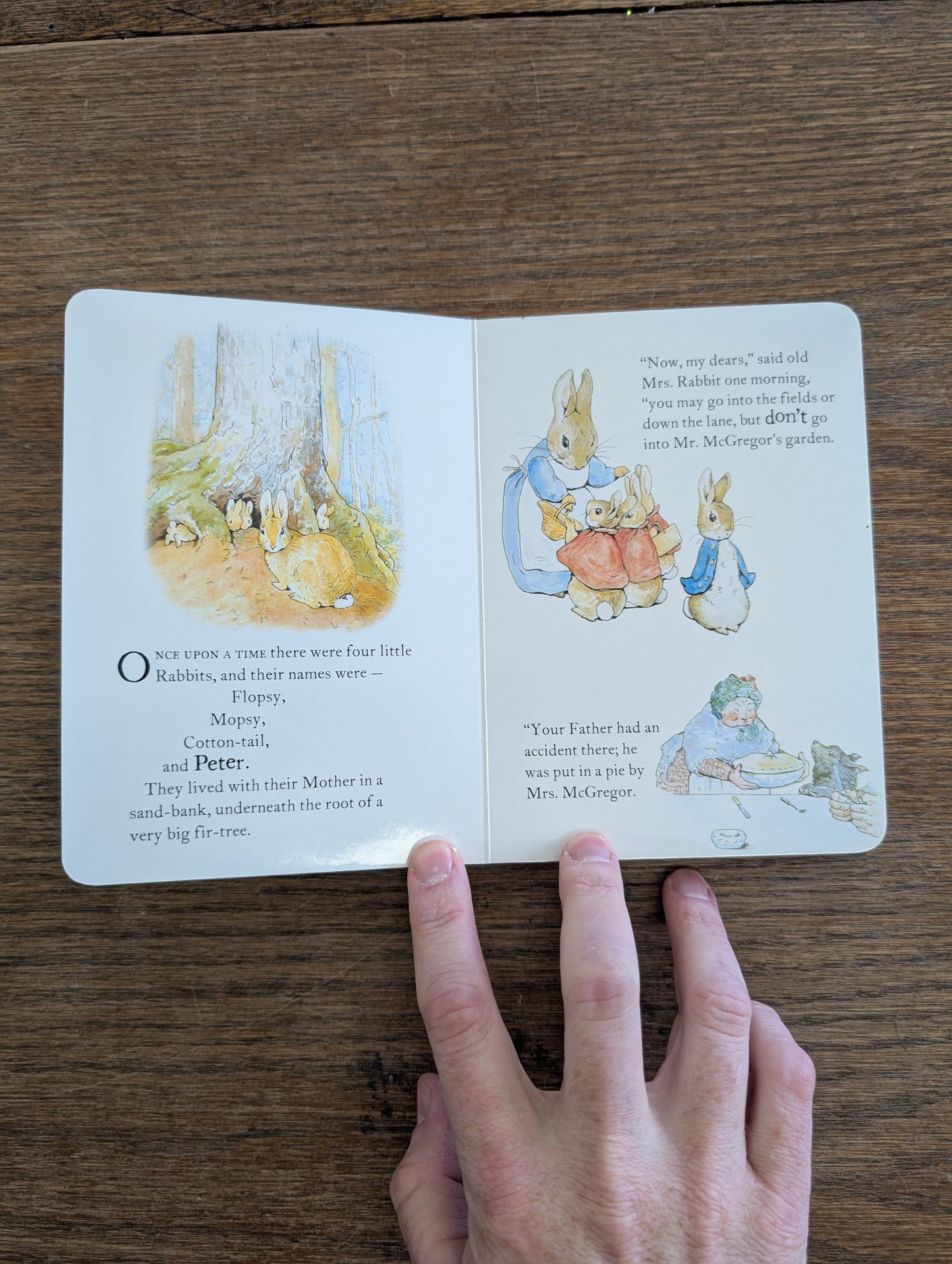 The Tale of Peter Rabbit