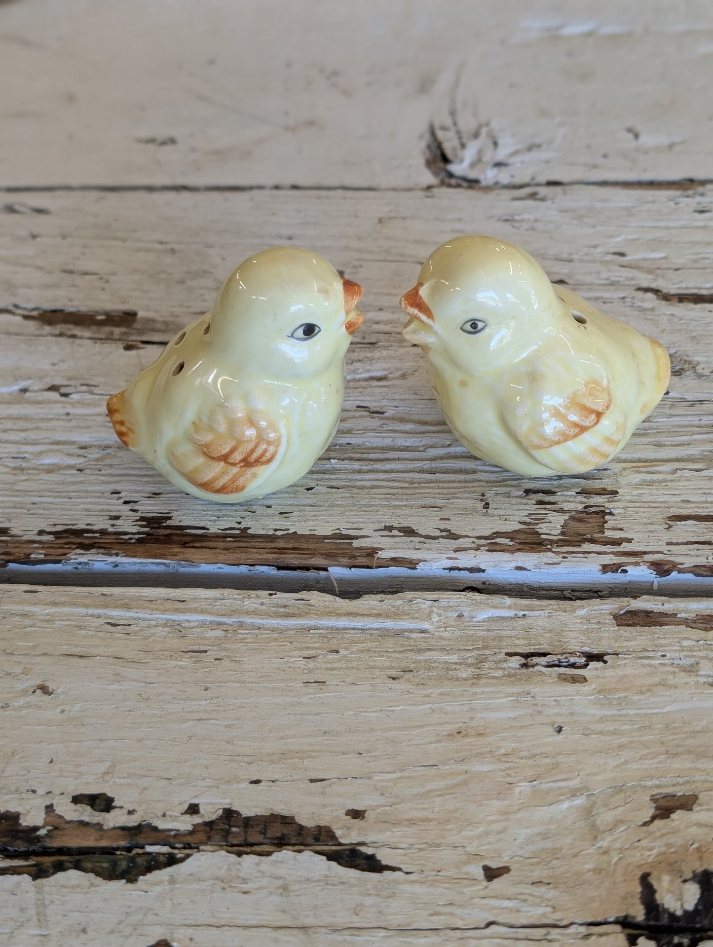 Chick salt and pepper shakers