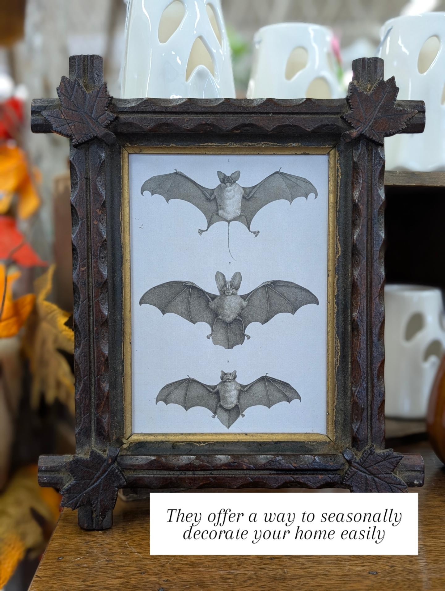 Bats in antique frame