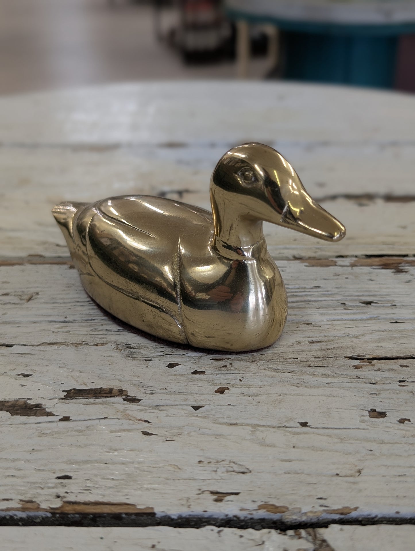 brass Duck