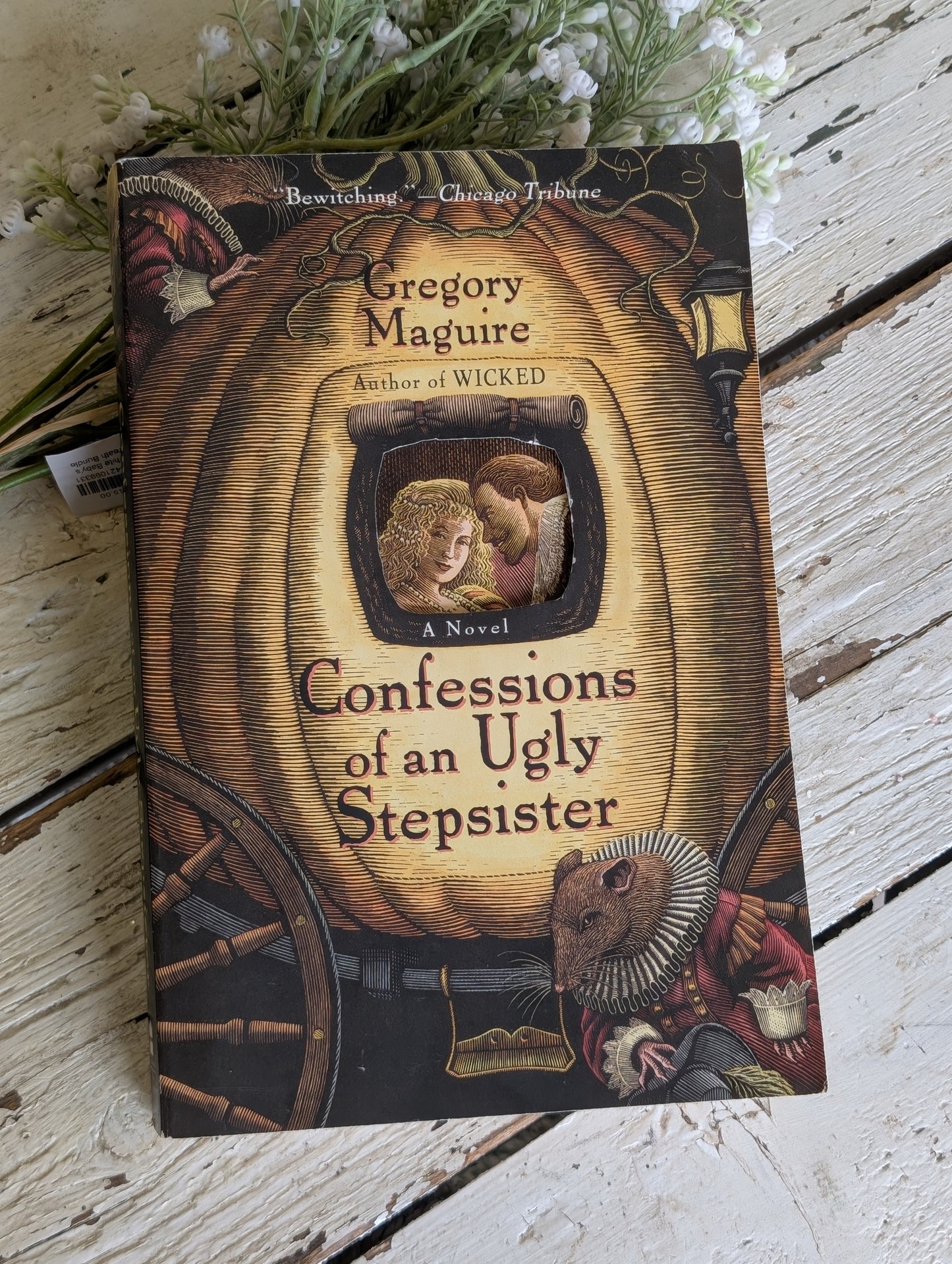 Confessions of a ugly stepsister