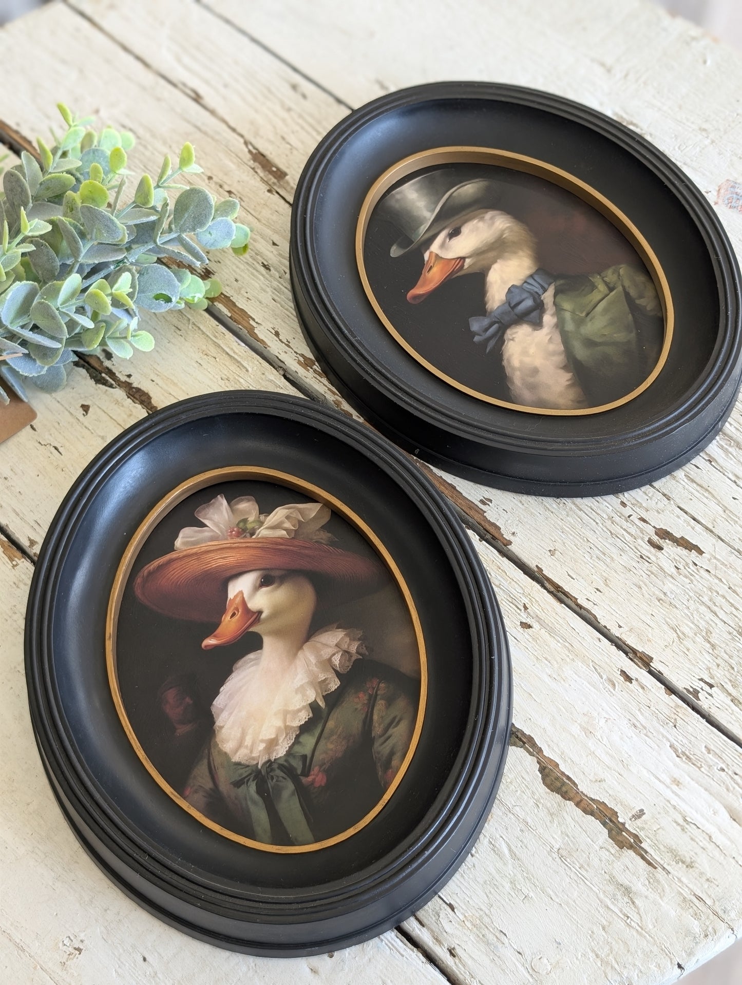Set of Dapper Duck framed prints
