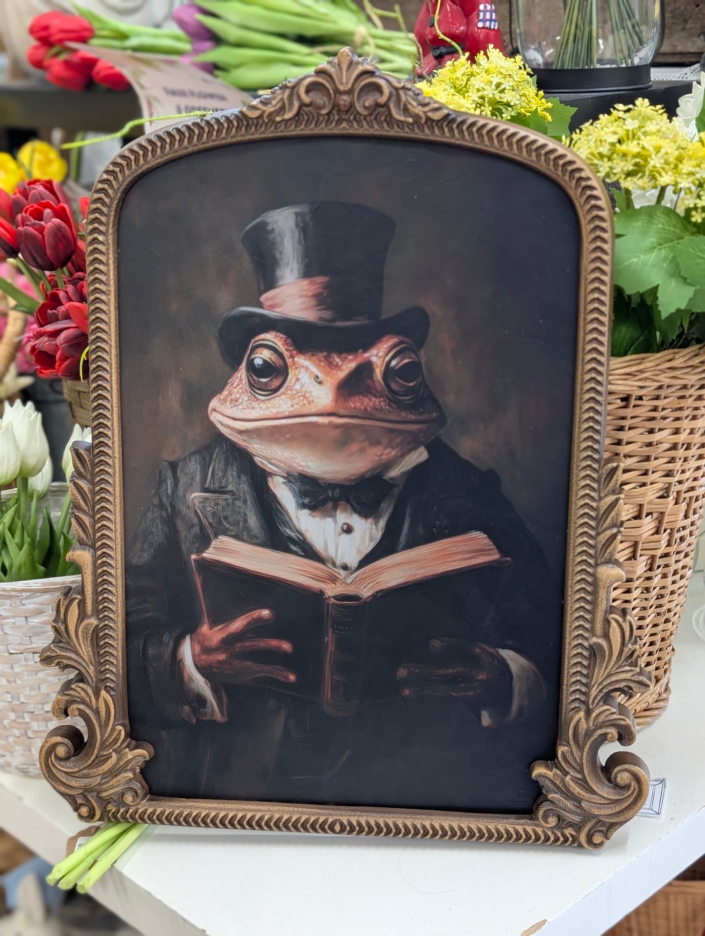 Arched frame reading toad
