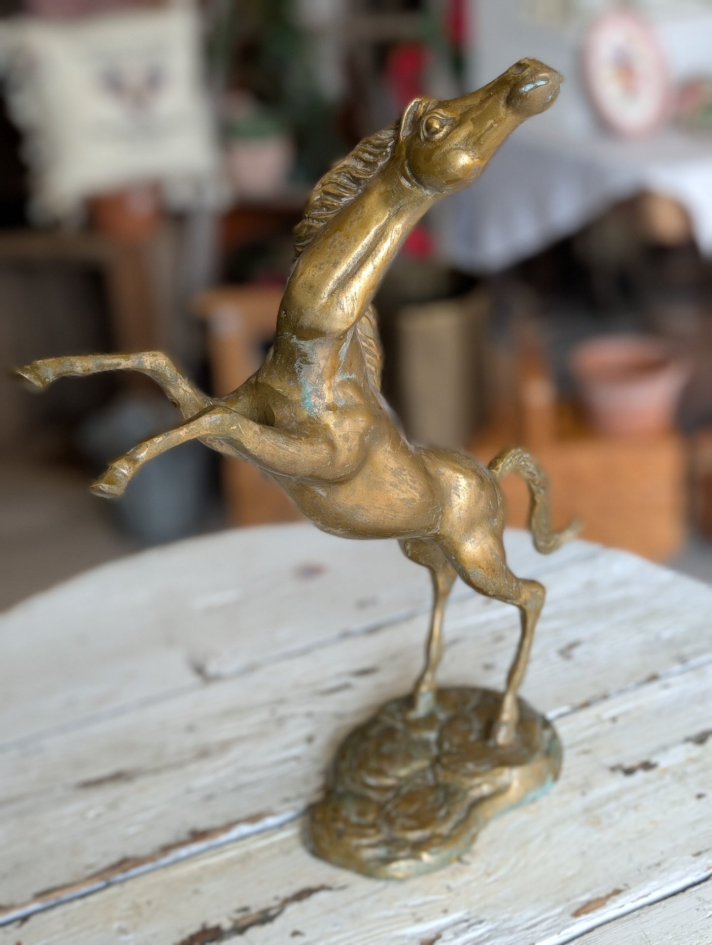 brass stallion