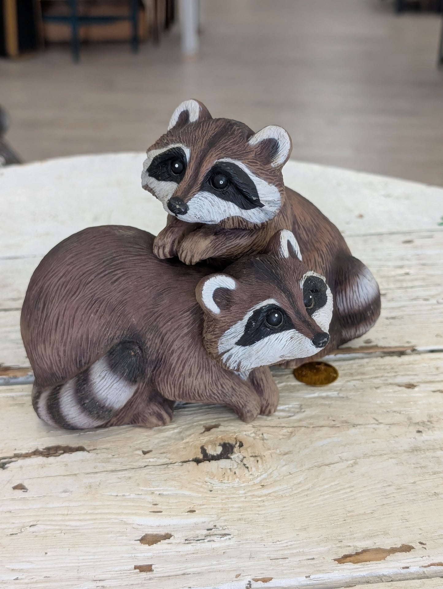 Set of raccoons