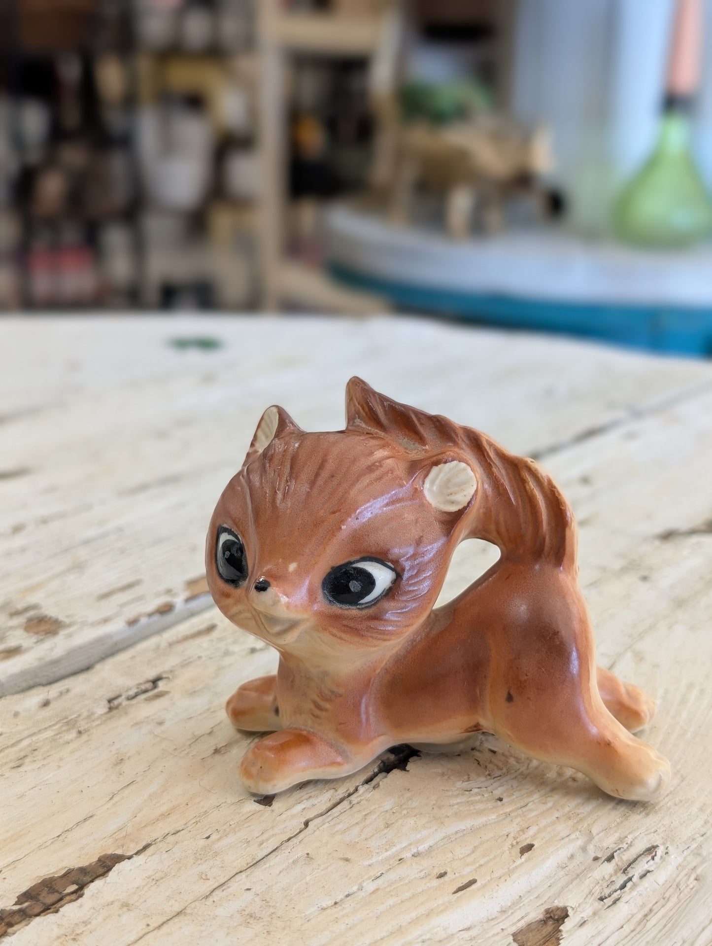 Baby squirrel