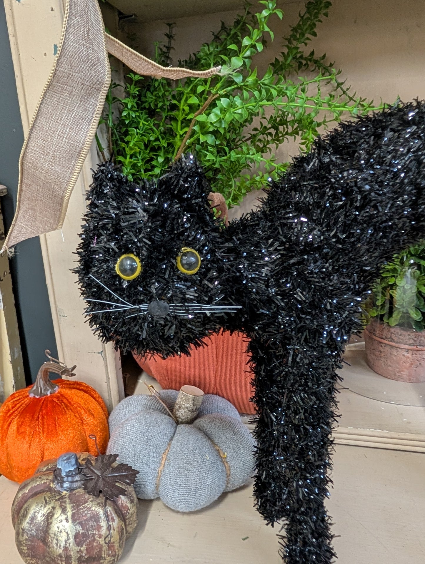 Spooky shinny black cat