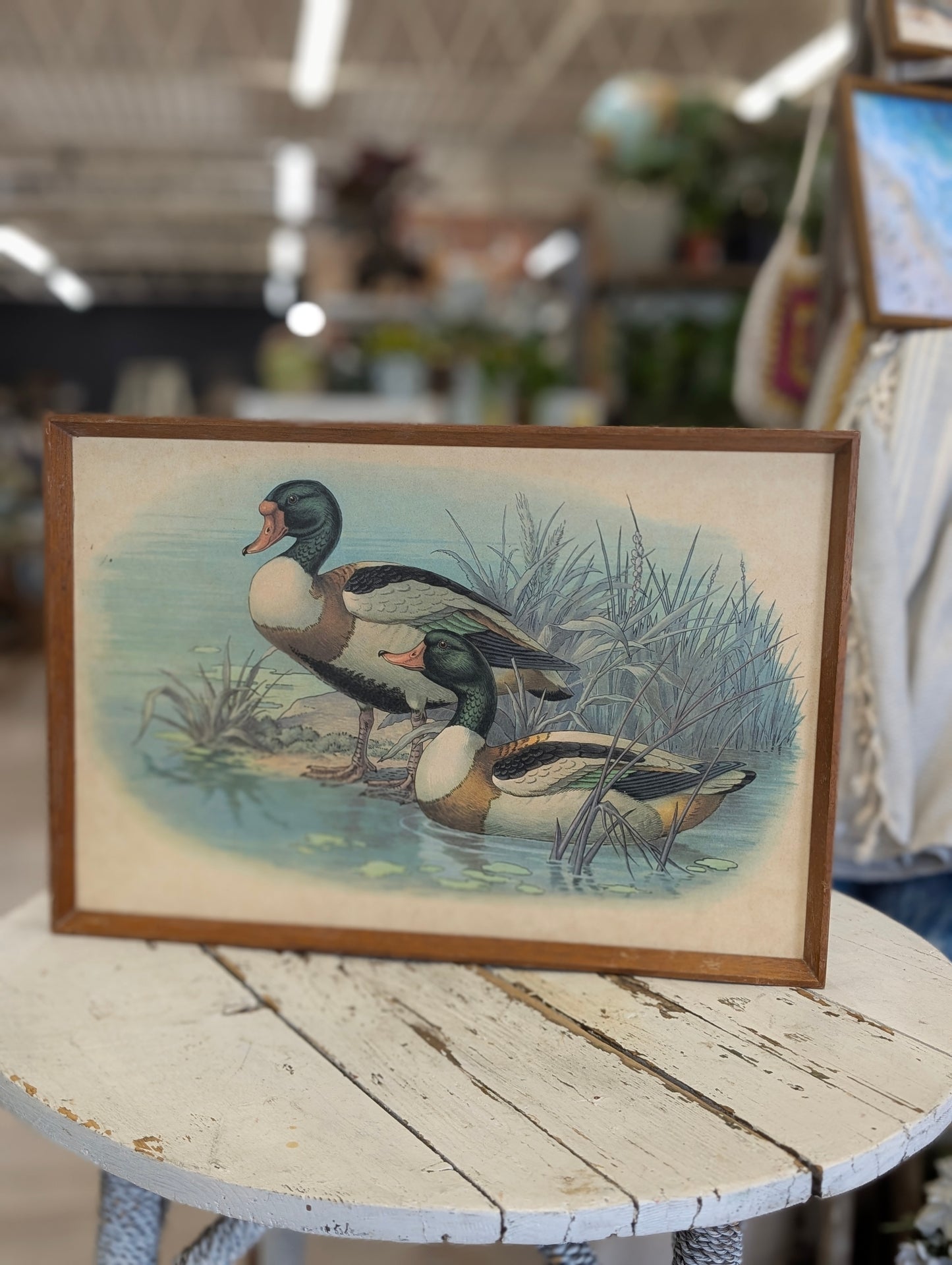 Duck Tray