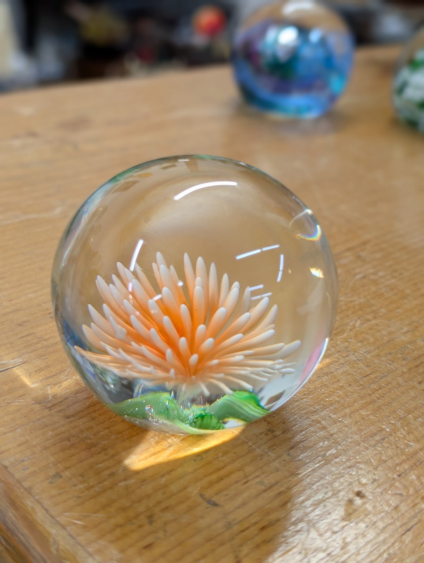 Glass flower paper weight