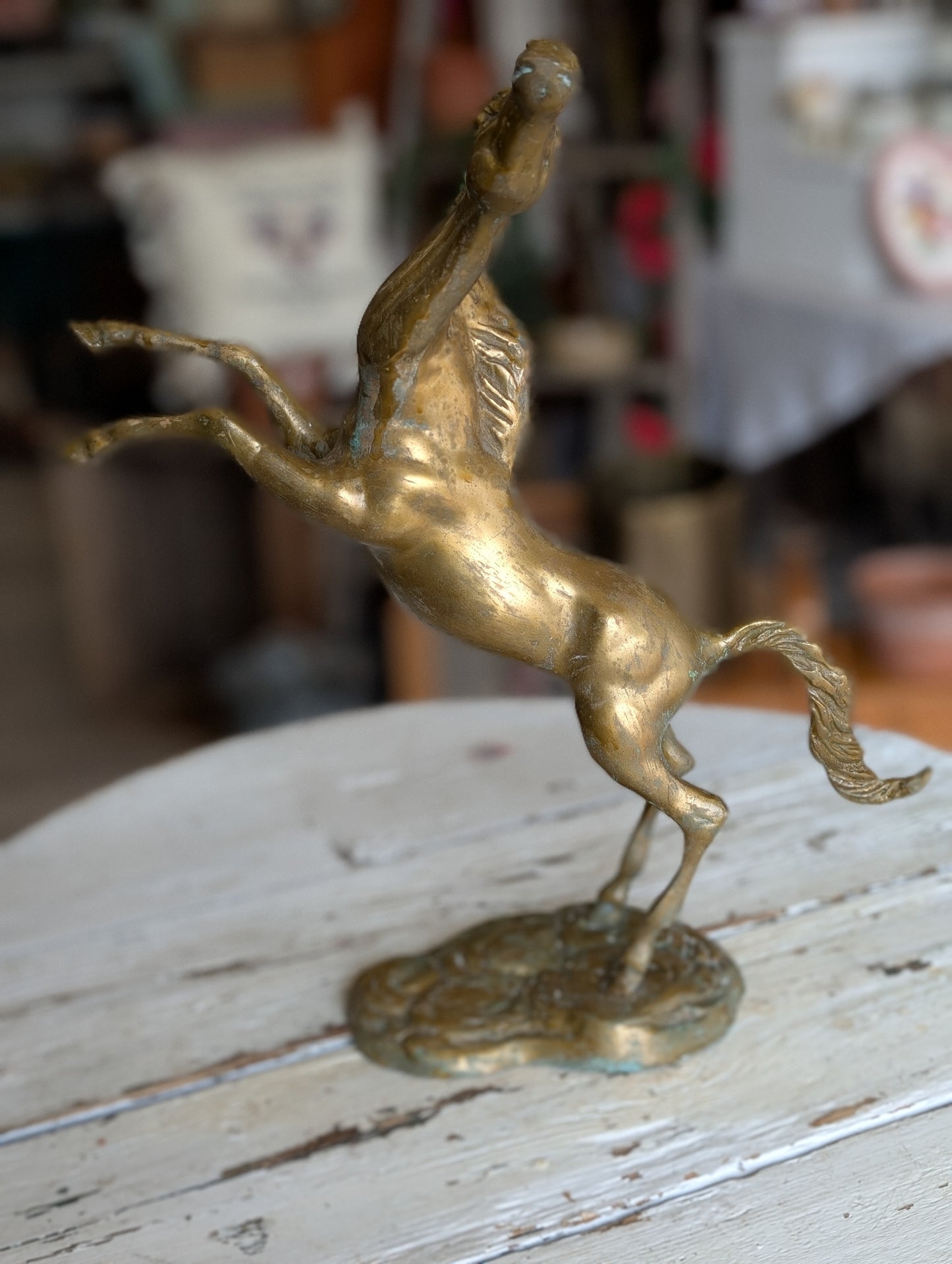 brass stallion