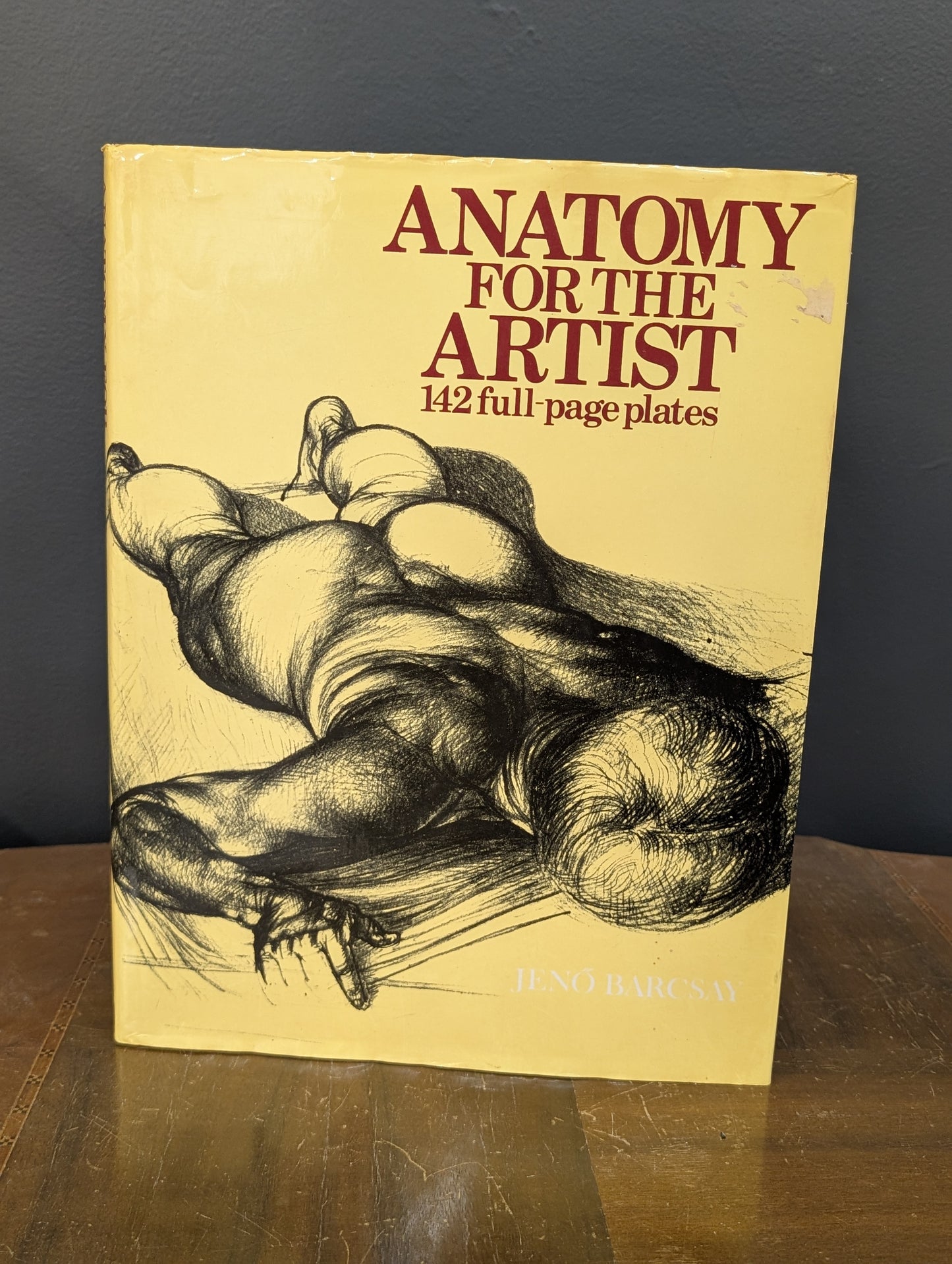 Anatomy of the Artist
