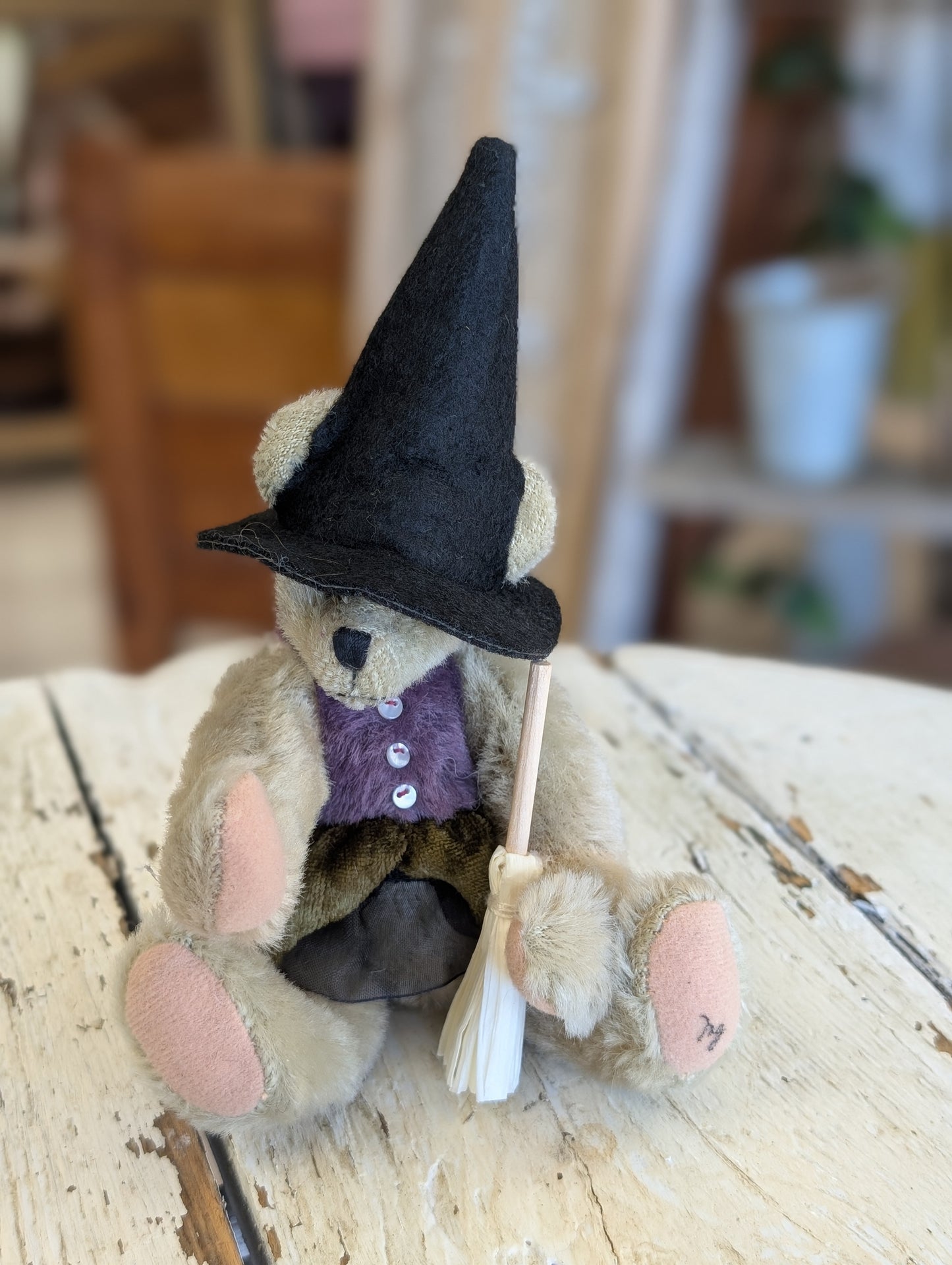 Witch Teddy