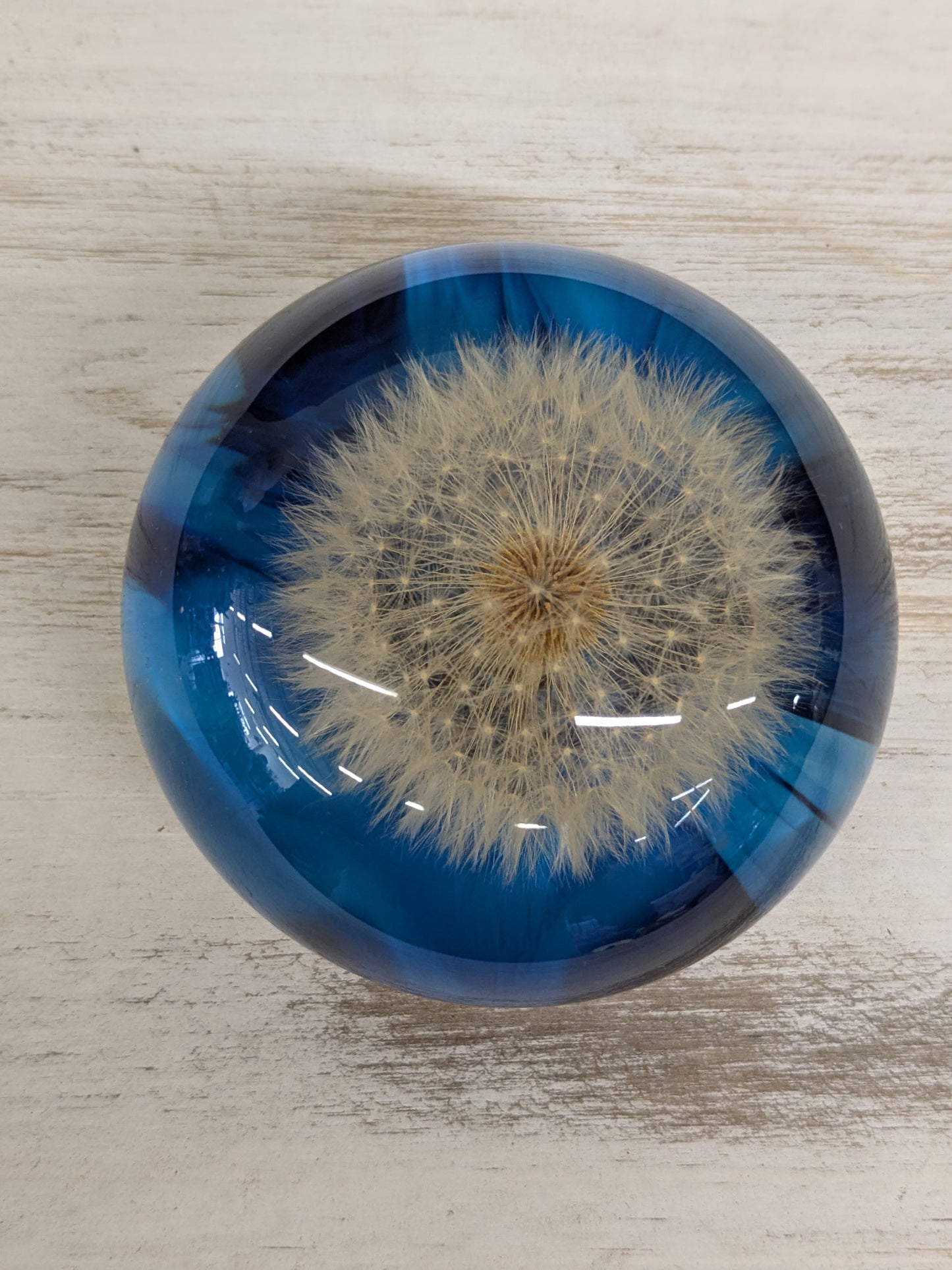 Dandelion paperweight