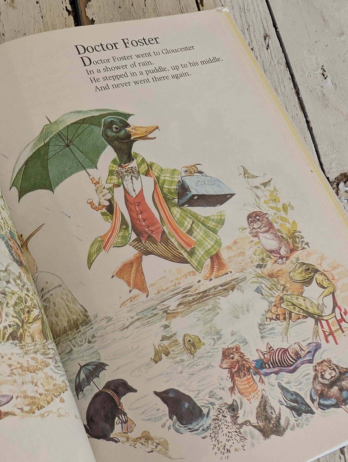 Animal Nursery Rhymes