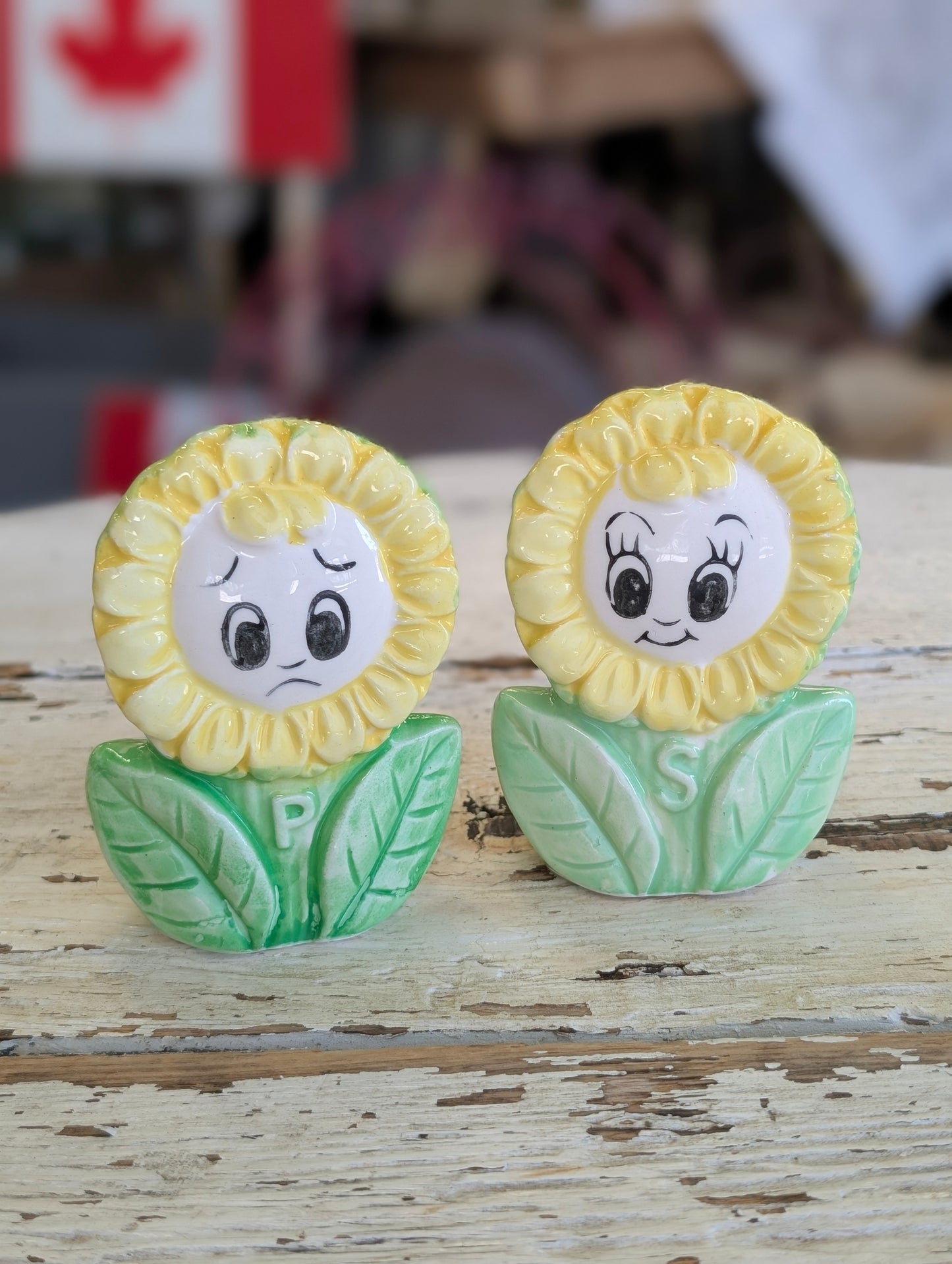 anthropomorphic sunflower salt and pepper