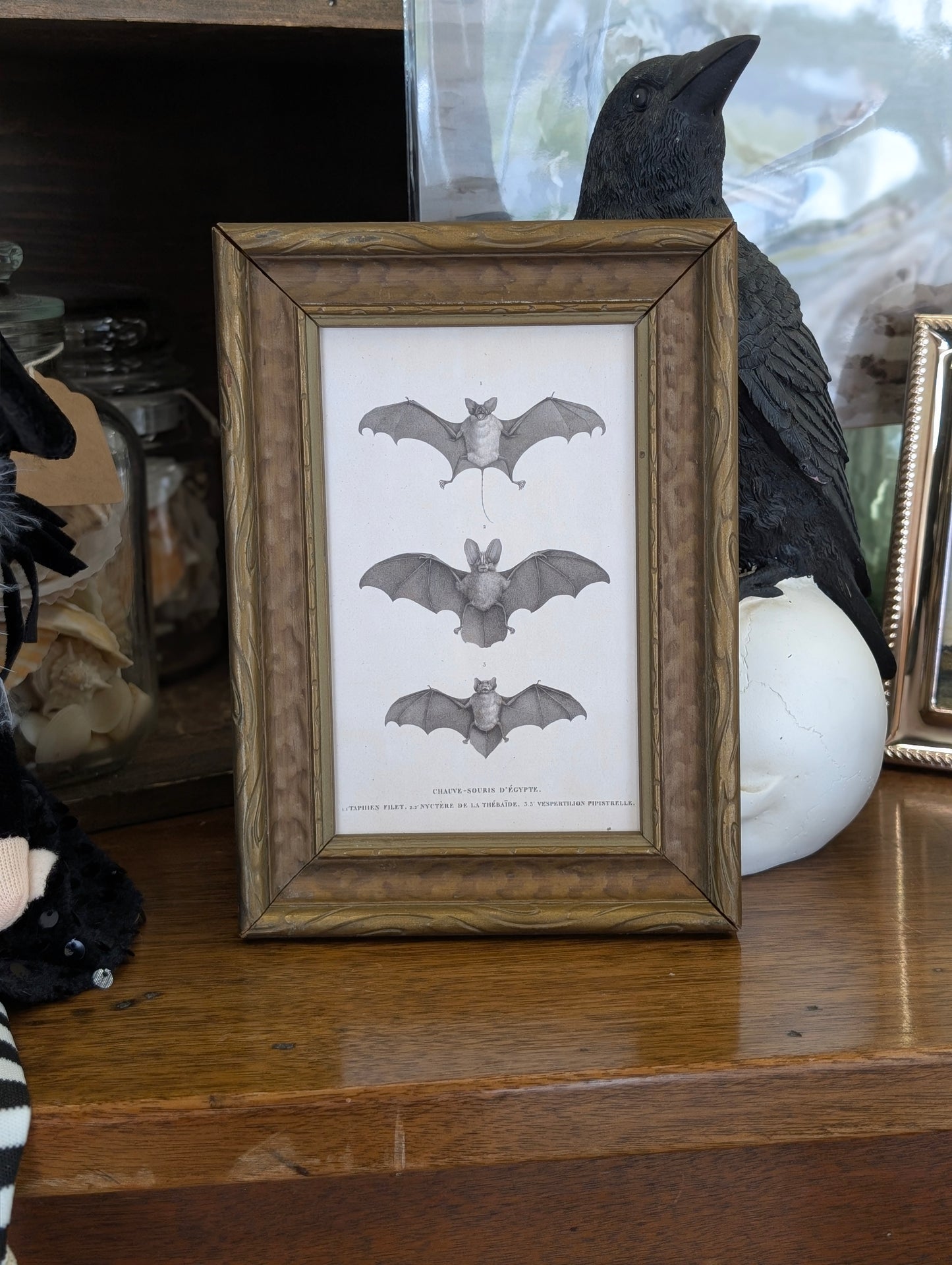 Three bates in small frame 4x6
