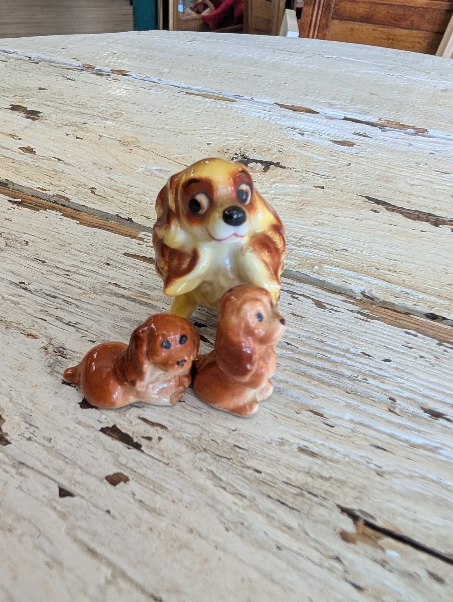 Cocker spaniel mini family