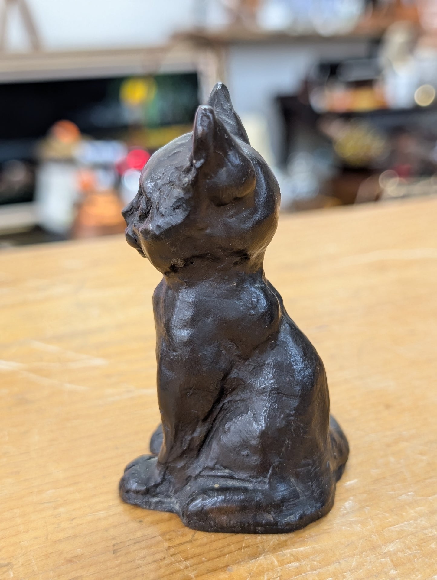 Mini kitten