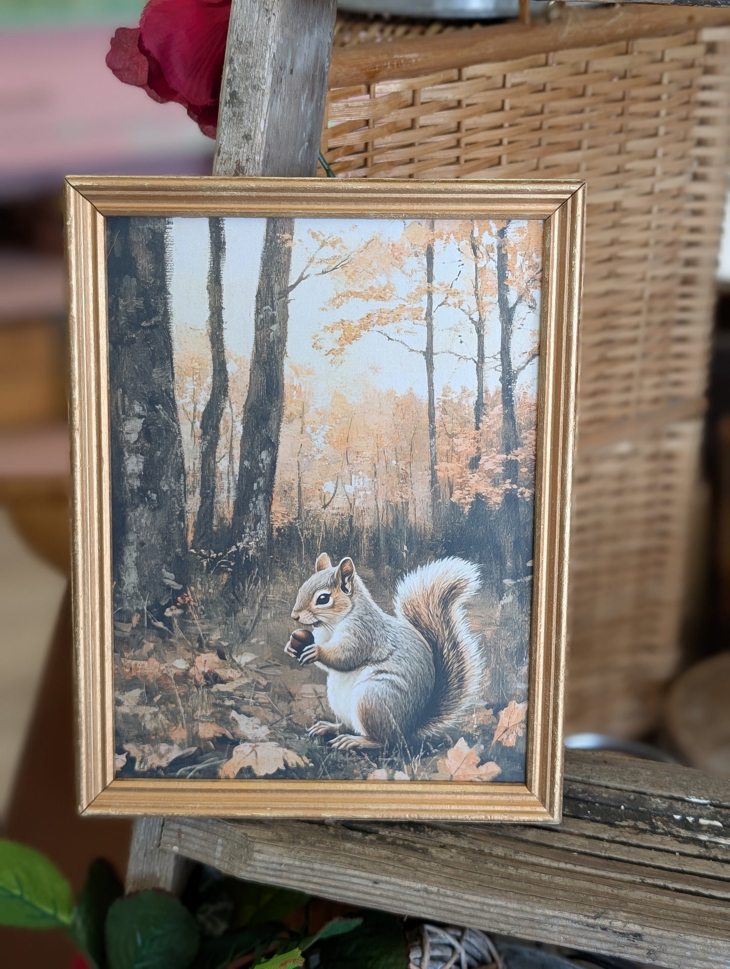 Squirrel in forest