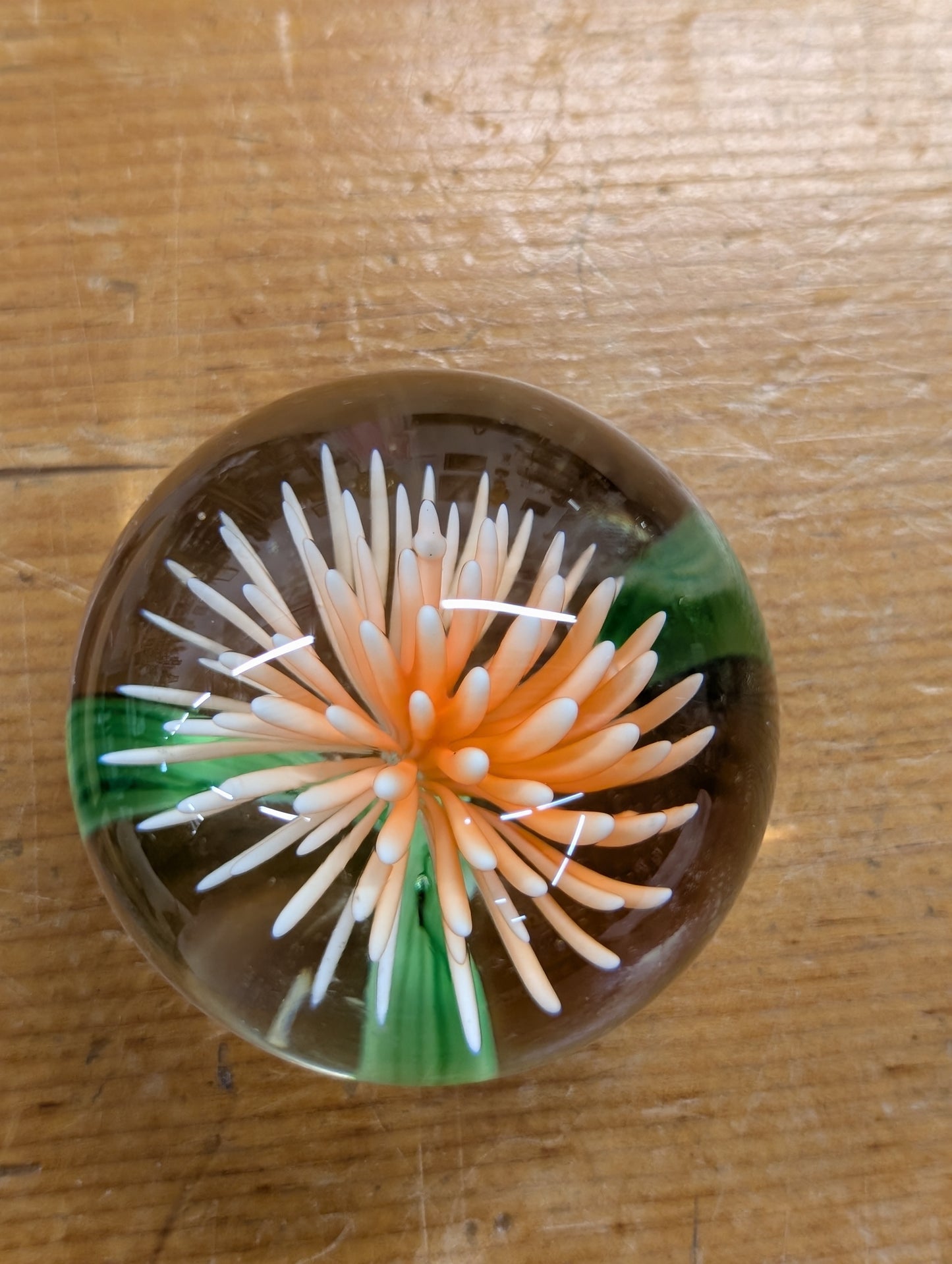 Glass flower paper weight