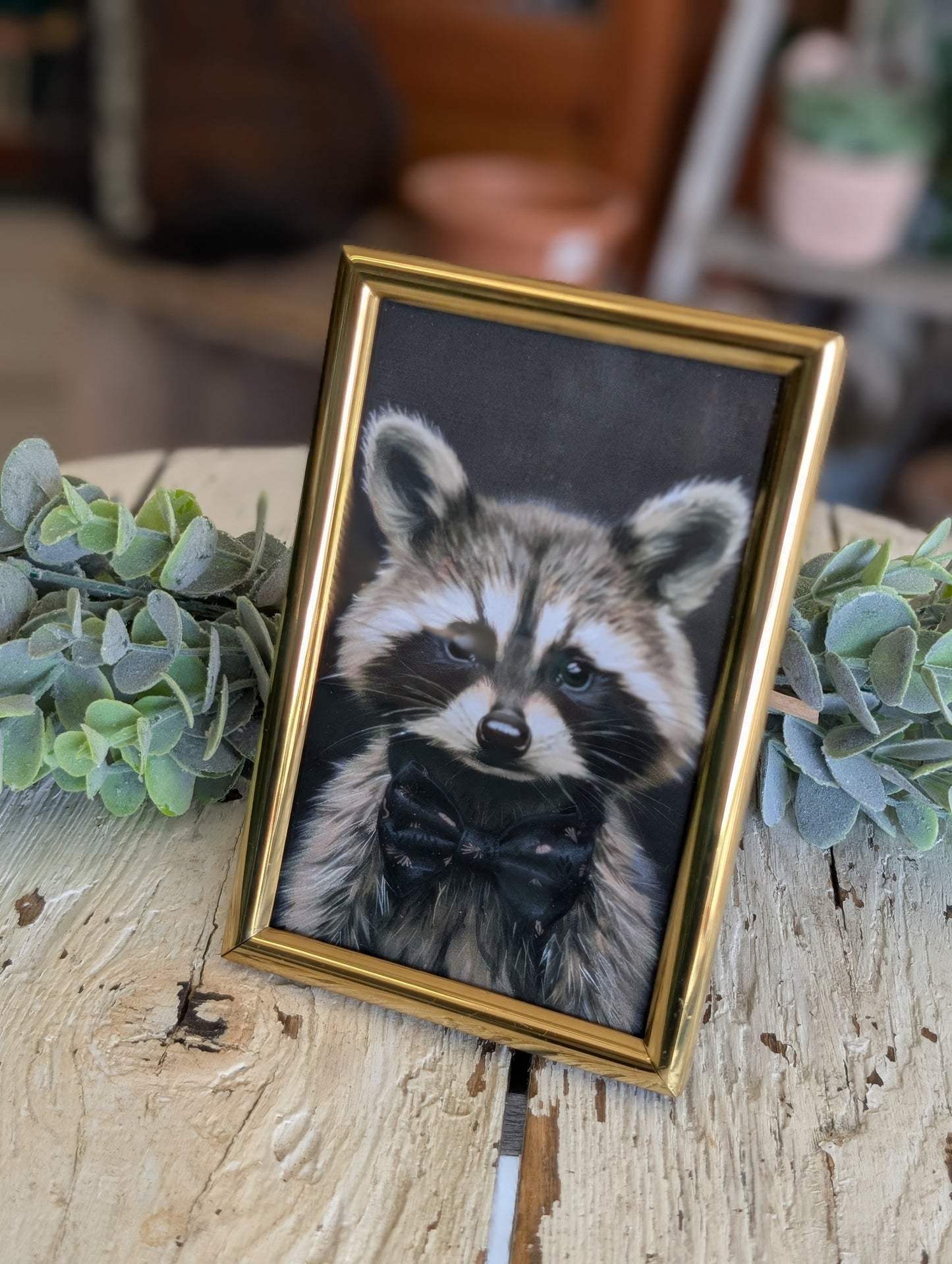 Dapper baby raccoon print in frame