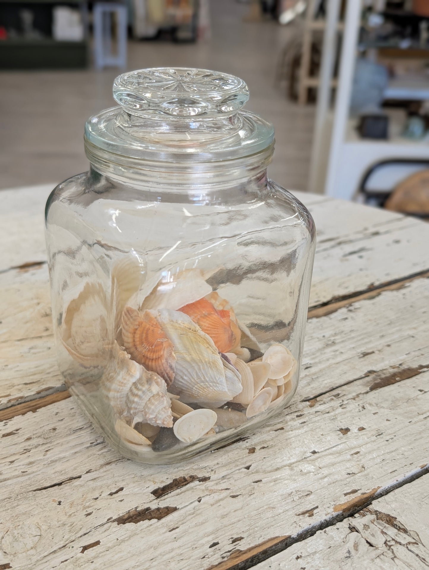 Jar with shell's large