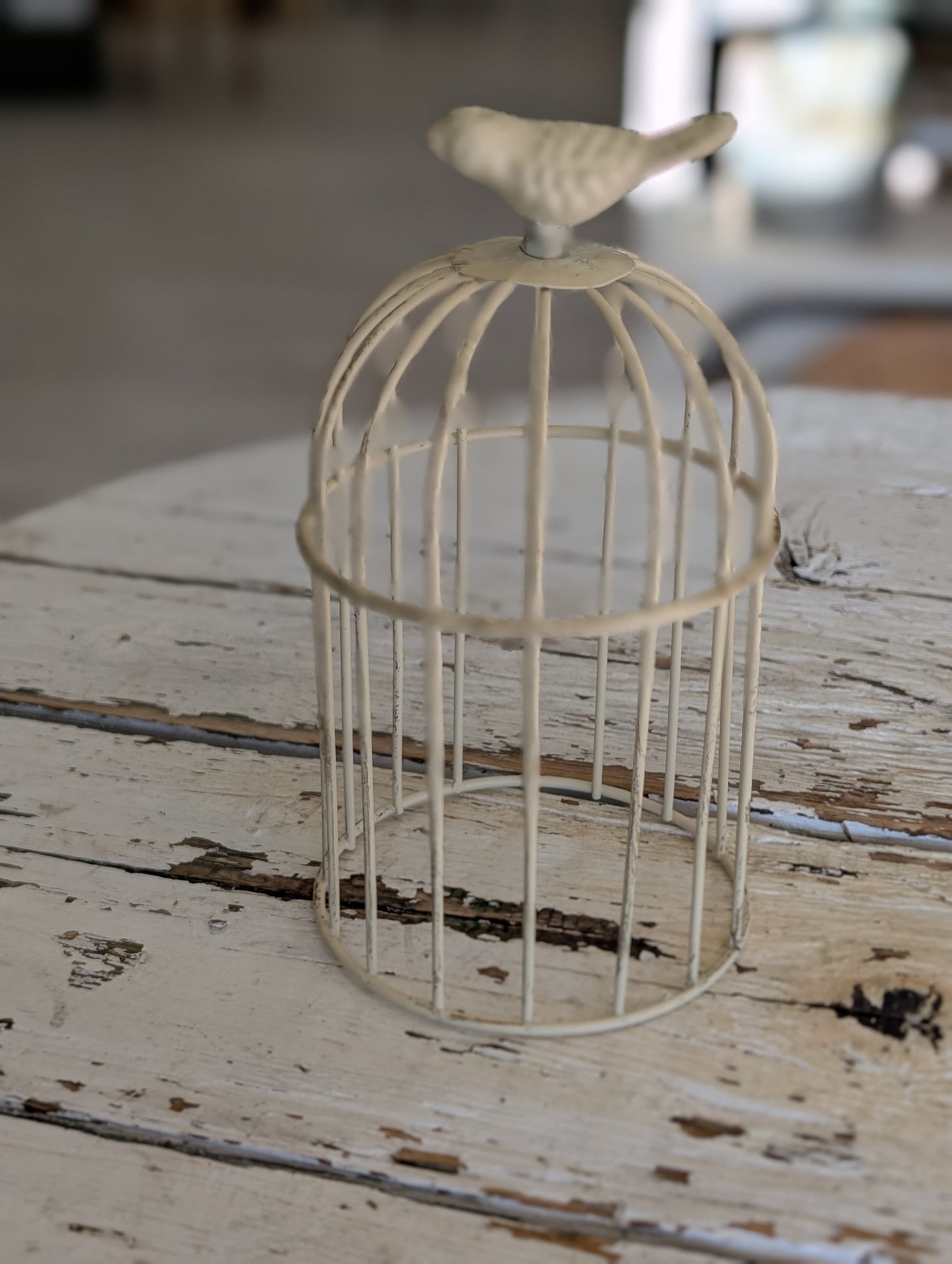 Small bird cage