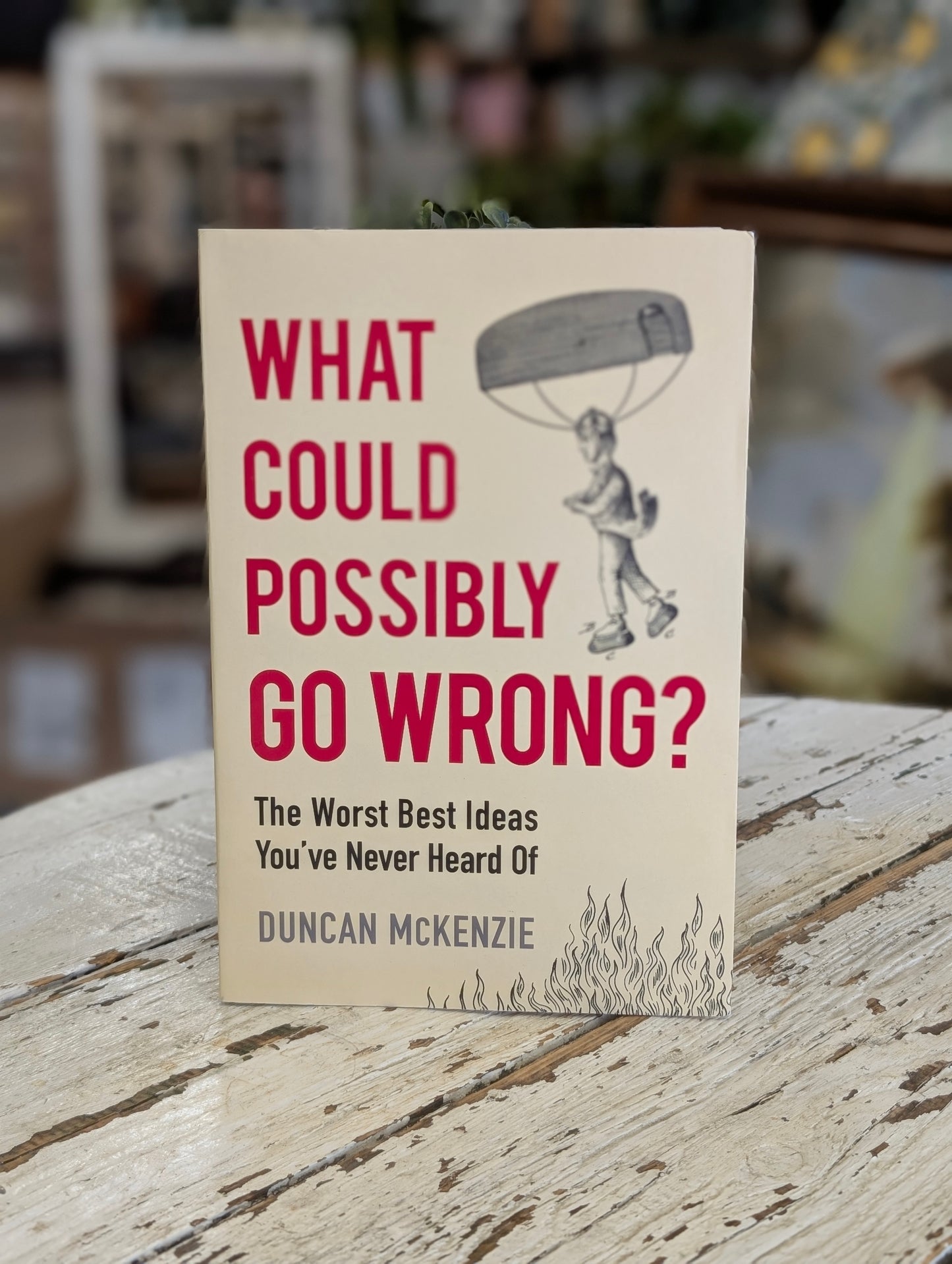 What Could Possibly Go Wrong?
