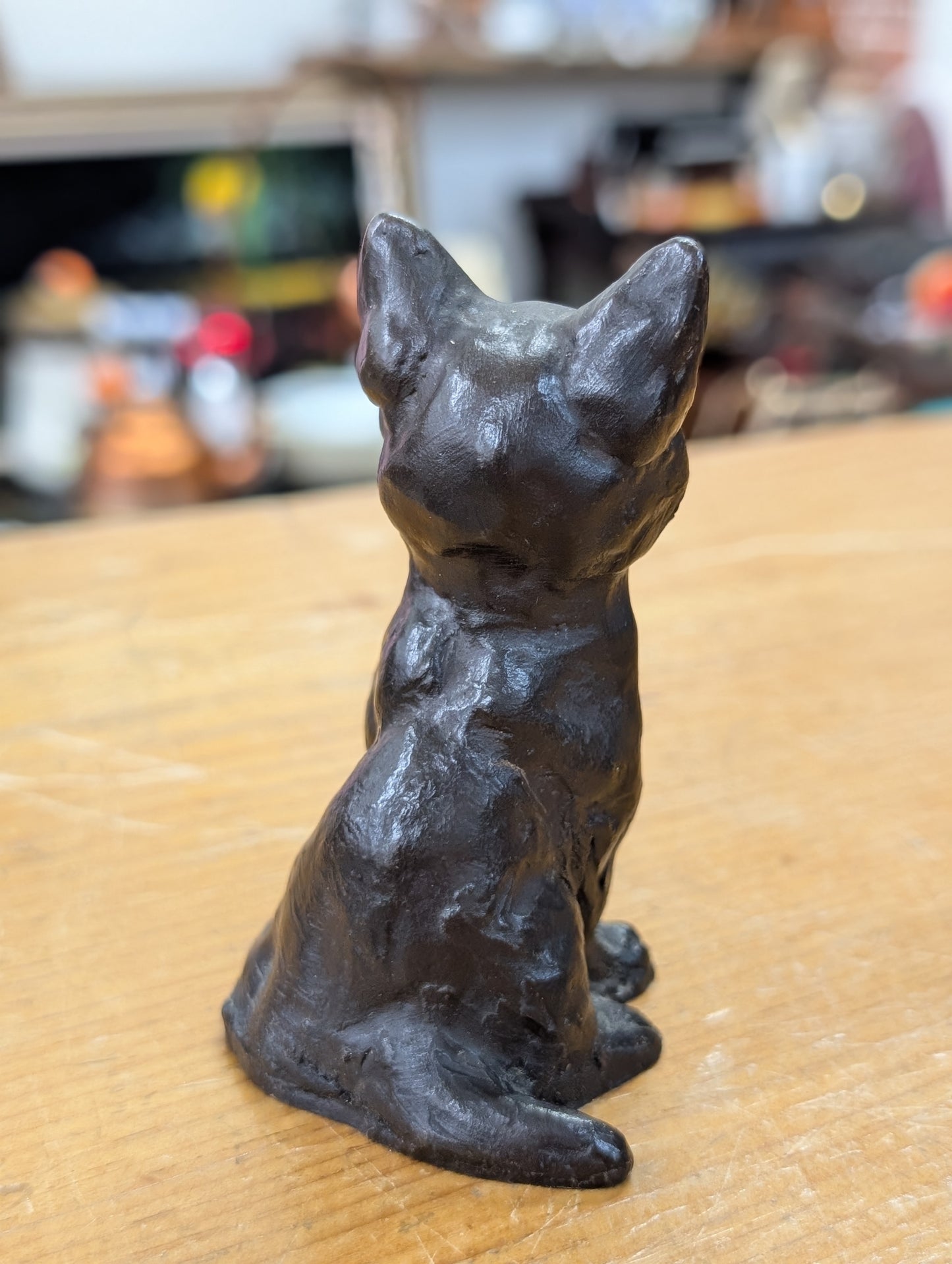 Mini kitten