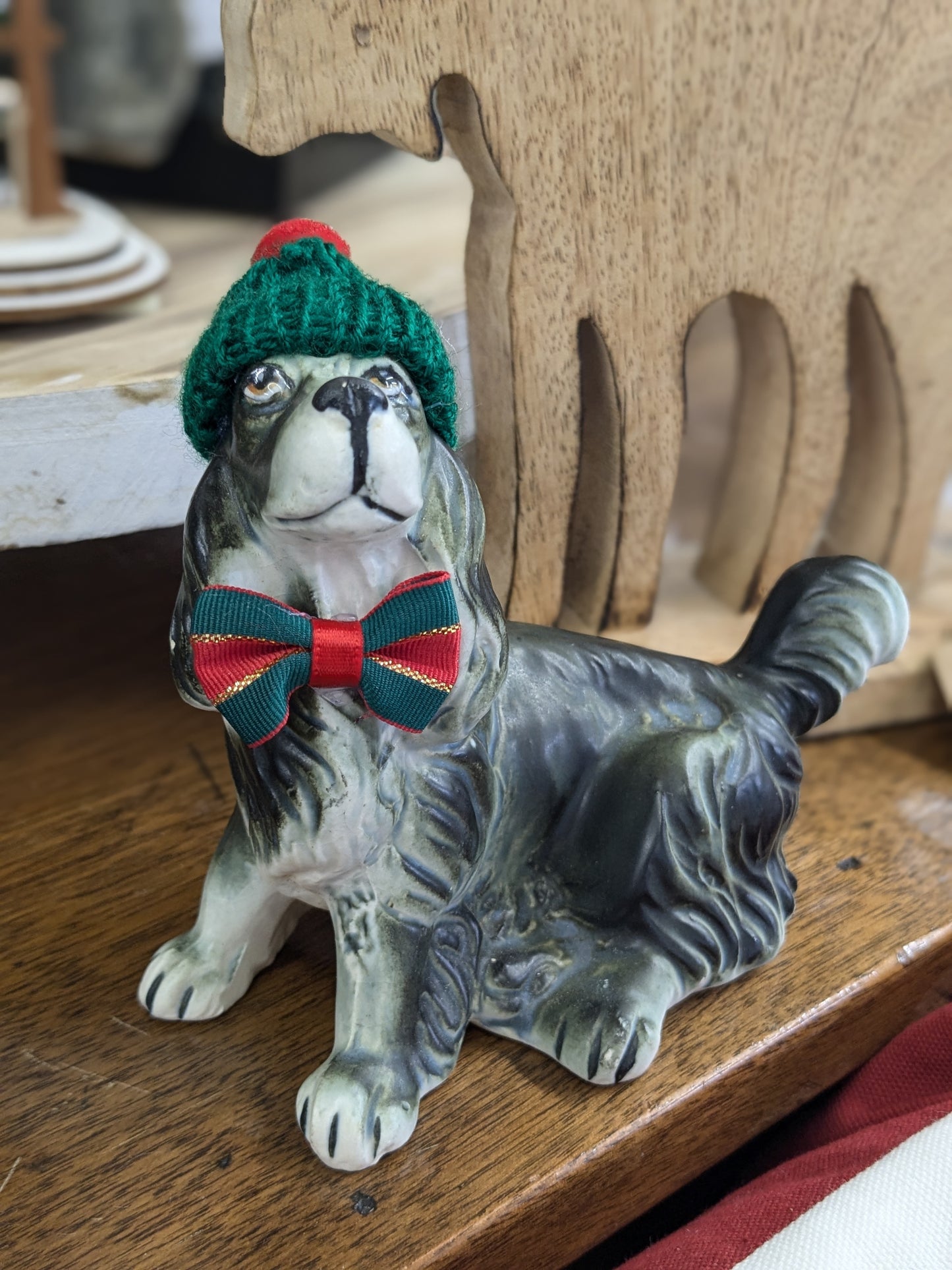 Finn the Christmas Dog