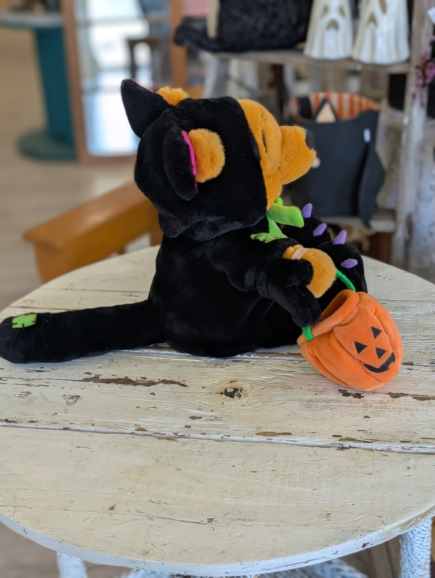 Pooh the kitty cat