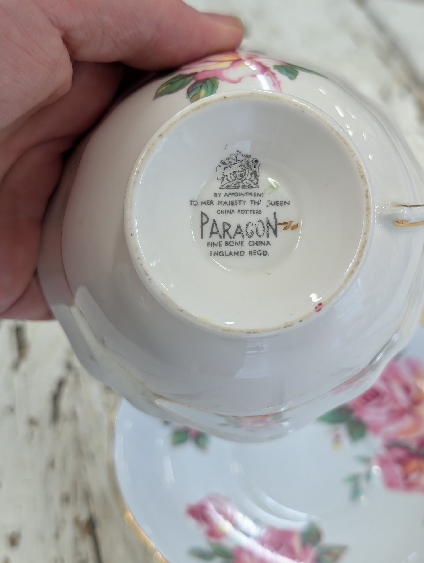 Paragon Teacup Rose