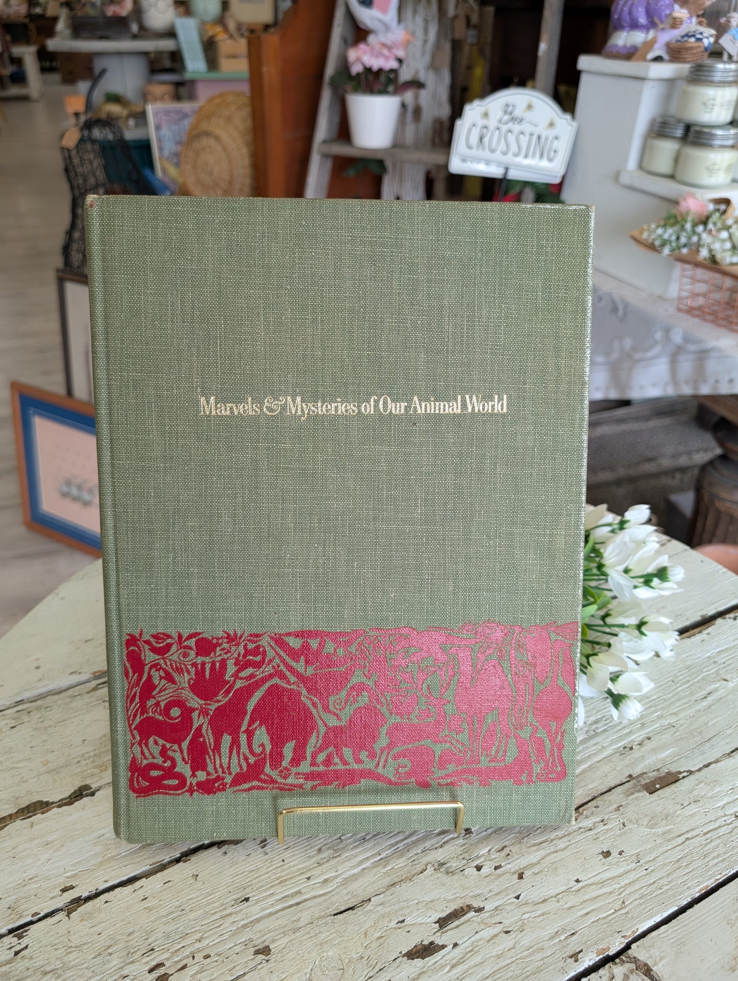 Marvels and Mysteries of the Animal World